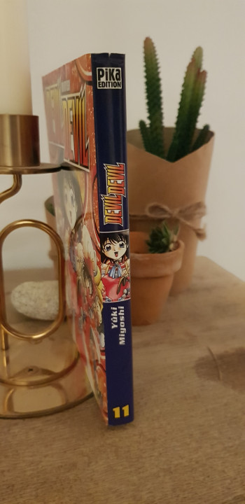 Image article Devil Devil tome 11