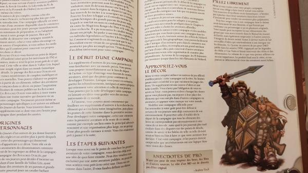 Image article Dungeons & Dragons - Guide du Maitre