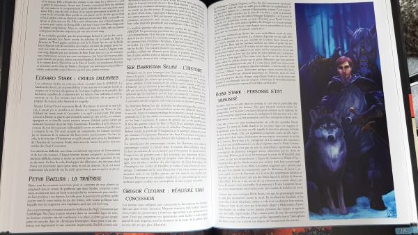 Image article Le trône de fer jeu de rôle