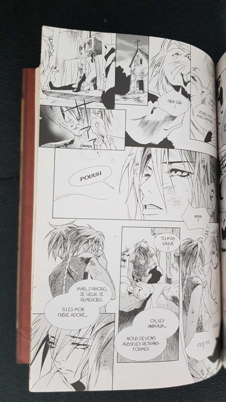Image article Grimms Manga