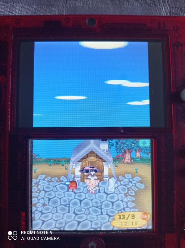 Image article Nintendo DS - Animal crossing wild world