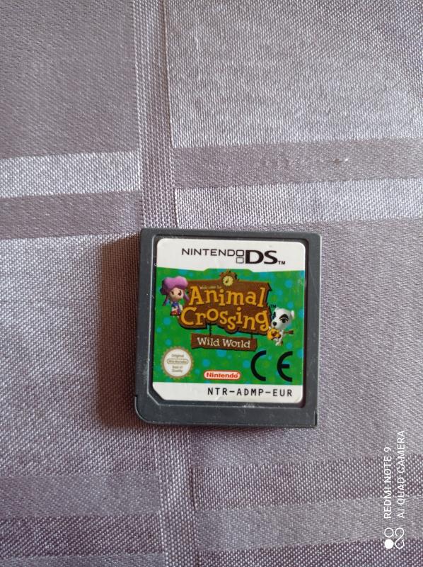 Image article Nintendo DS - Animal crossing wild world