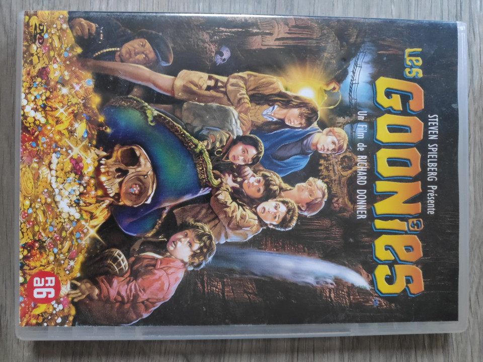 Image article DVD les goonies