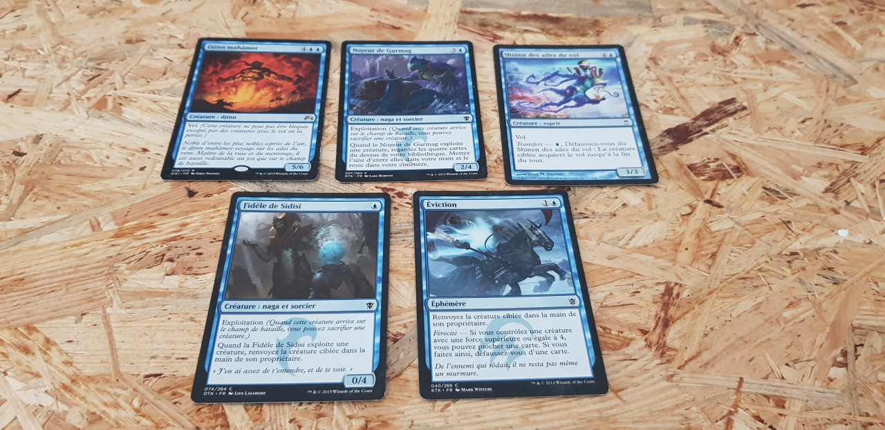 Image article Lot 5 cartes Magic